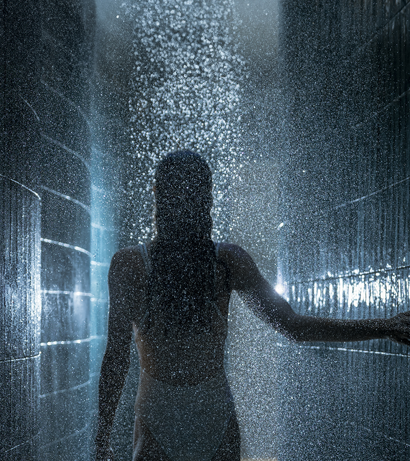 The Rainforest Banyan Tree Dubai